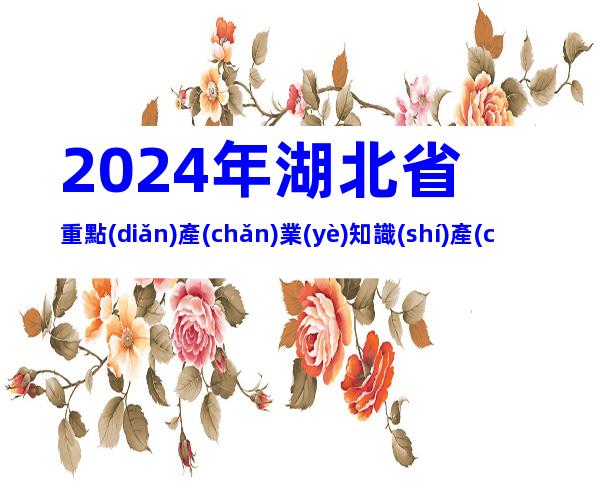 2024年湖北省重點(diǎn)產(chǎn)業(yè)知識(shí)產(chǎn)權(quán)運(yùn)營(yíng)中心申報(bào)條件、材料